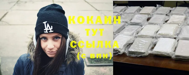 купить наркоту  Инта  COCAIN Fish Scale 